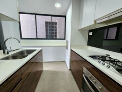 Terrene At Bukit Timah (D21), Condominium #484328151
